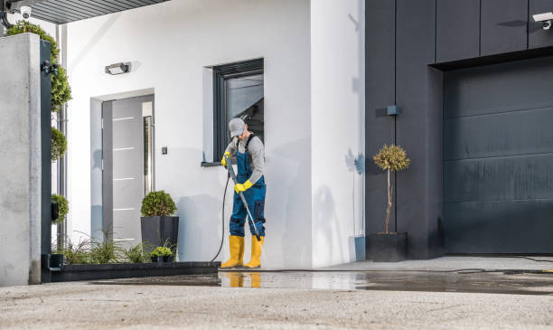 Best Rust Removal  in Pella, IA